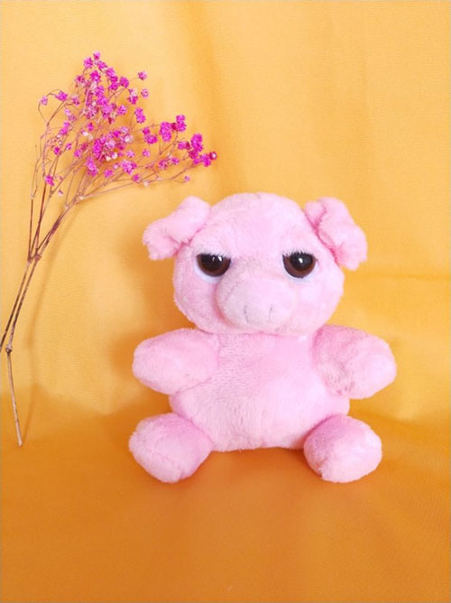 Stuffed Animal Plush Wild Toy Frog