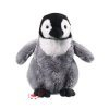 Plush Dinosaur Toys
