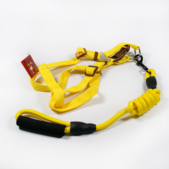 Multifunction Dog Rubber Rope for Pet