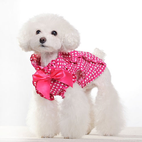 Multi-Function Net Pet Basket Bag