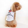Mini MOQ Double Shoulder Dog Carrier Bag