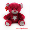 Stuffed Football Bear Toy